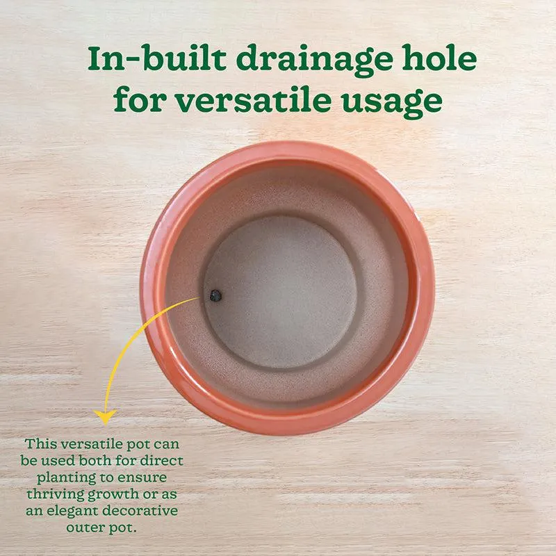 Ugaoo Pot-fection Ceramic Planter - Coral media 7