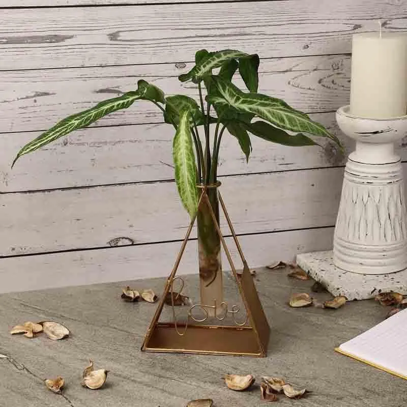 Trey Testube Planter media 1