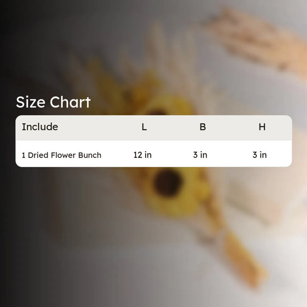 Product size chart showing one dried flower bunch measuring 12 by 3 by 3 inches