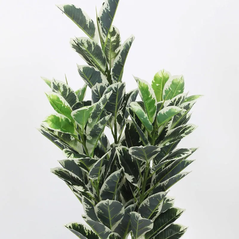 Tropikal Artificial Dieffenbachia Plant With Black Plastic Pot - 2.8 Feet media 5