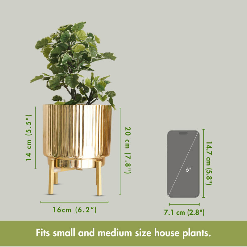 Royale Golden Metal Fluted Planter media 9