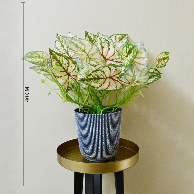Caladelle Artificial Caladium Plant With Black Plastic Pot - 40 cm media 6