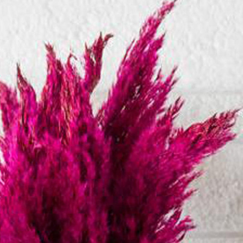 Sittora Pampas Stick (Wine) - Set Of Ten media 6