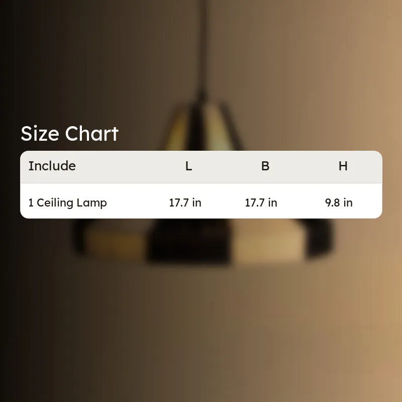 Fig Living ColourWay 100 Ceiling Lamp media 6