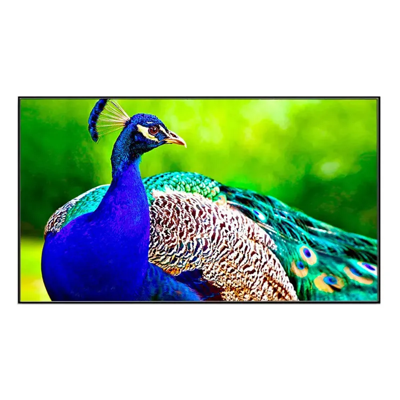 Beautiful Peacock Canvas Wall Painting media 3