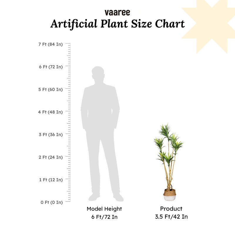 Artificial Yellow Small Leaf Dracaena Plant Without Pot - 3.4 Feet media 7