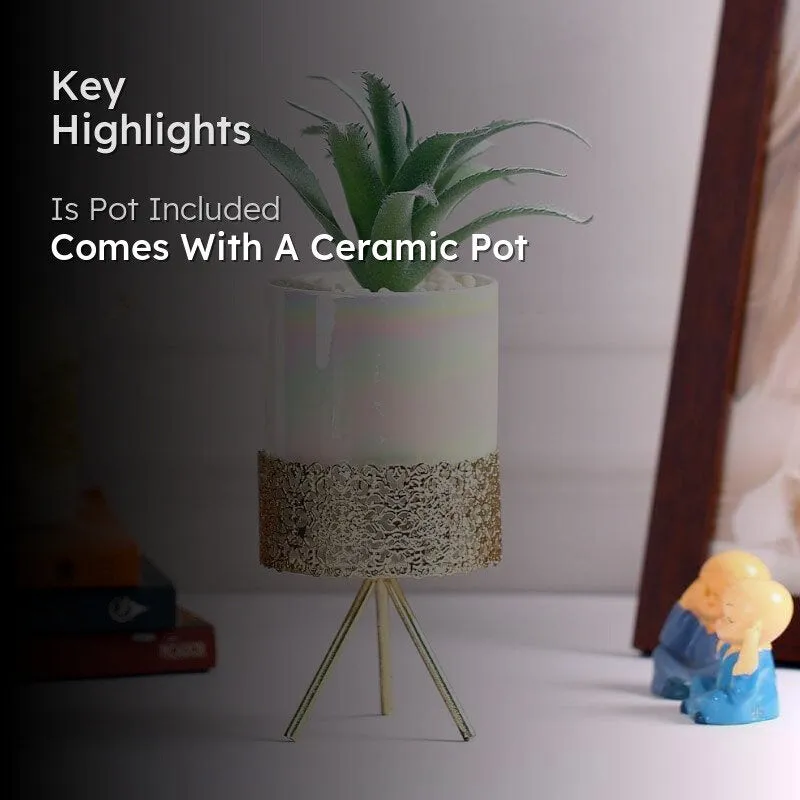 Faux Agave In Ceramic Pot With Tripod - 25 cms media 2