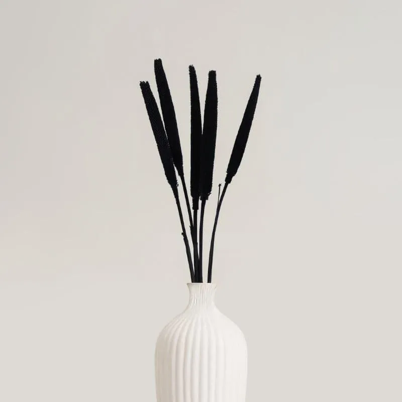 Mimo Dried Millet Grass (Black) - Set Of Five media 1