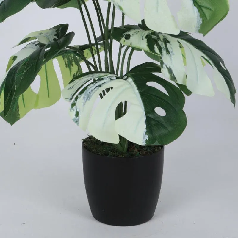 Faux White Monstera Silk Plant With Black Plastic Pot - 55 cms media 5