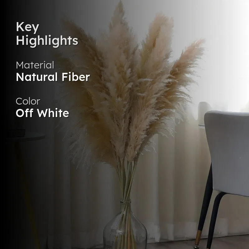 Artificial Rustic Pampas Grass - Set Of Five media 2
