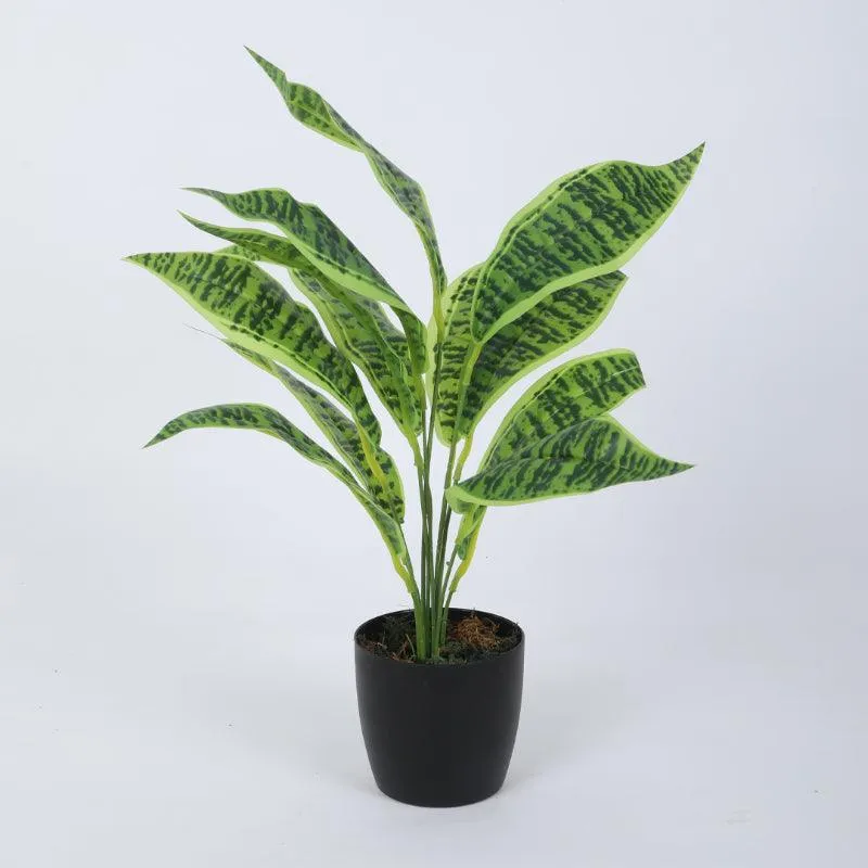 Faux Snake Plant With Black Plastic Pot (50 cms) - Set Of Two media 4