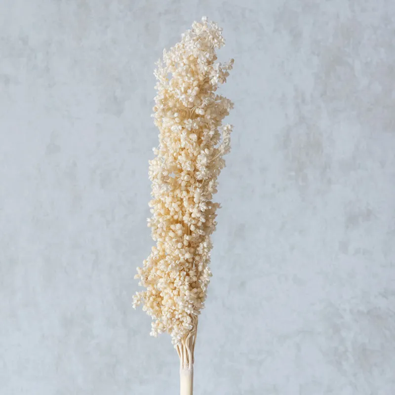 Eshbas Corn Stem (White) - Set Of Five media 3