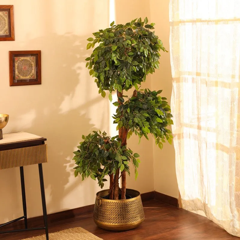 Artificial Green Ficus Bonsai With Black Plastic Pot - 5.5 ft media 4