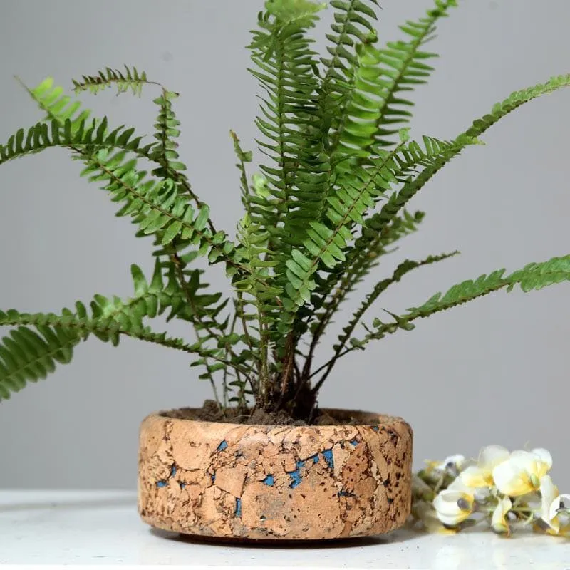 Coastal Cork Planter media 5