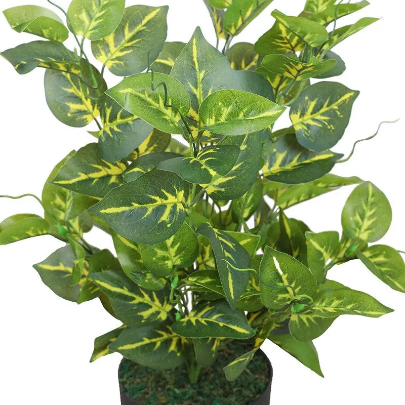 Evergreen Mirage Artificial Plant With Black Plastic Pot media 6