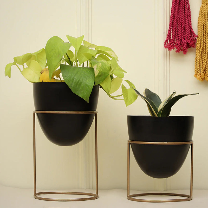 Gina Planter With Stand - Set Of Two media 4