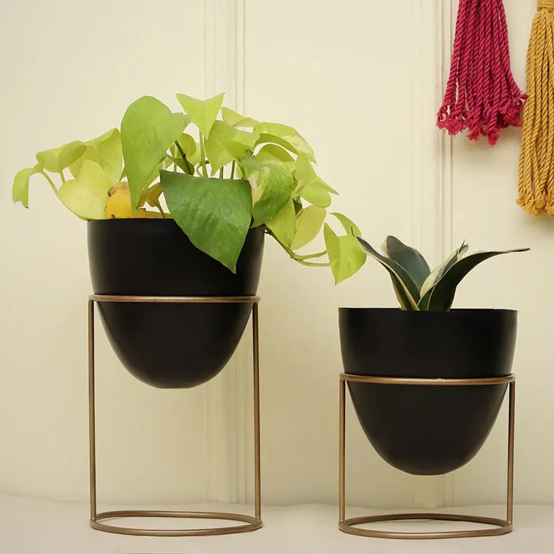 Gina Planter With Stand - Set Of Two media 4