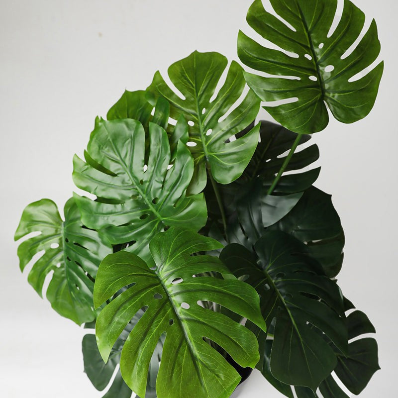 Faux Everlasting Monstera Artificial Plant With Black Plastic Pot - 74 cm (2.4 ft) image 4
