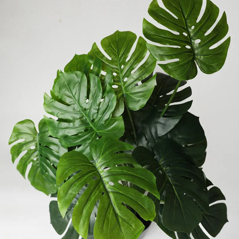 Faux Everlasting Monstera Artificial Plant With Black Plastic Pot - 74 cm (2.4 ft) media 4