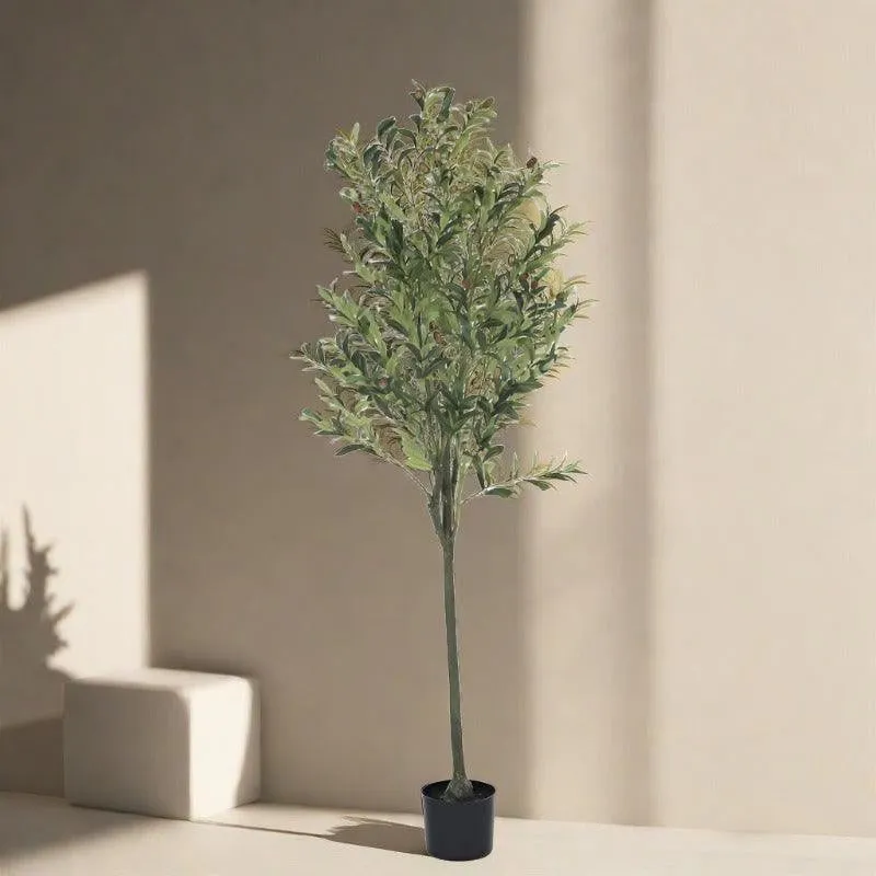 Faux Olive Tree Plant With Black Plastic Pot - 4.92 ft media 4