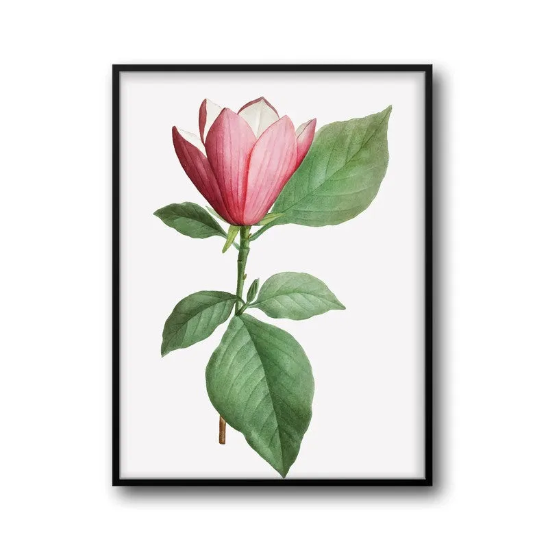 Padma Palette Archival Paper Wall Art With Frame media 5