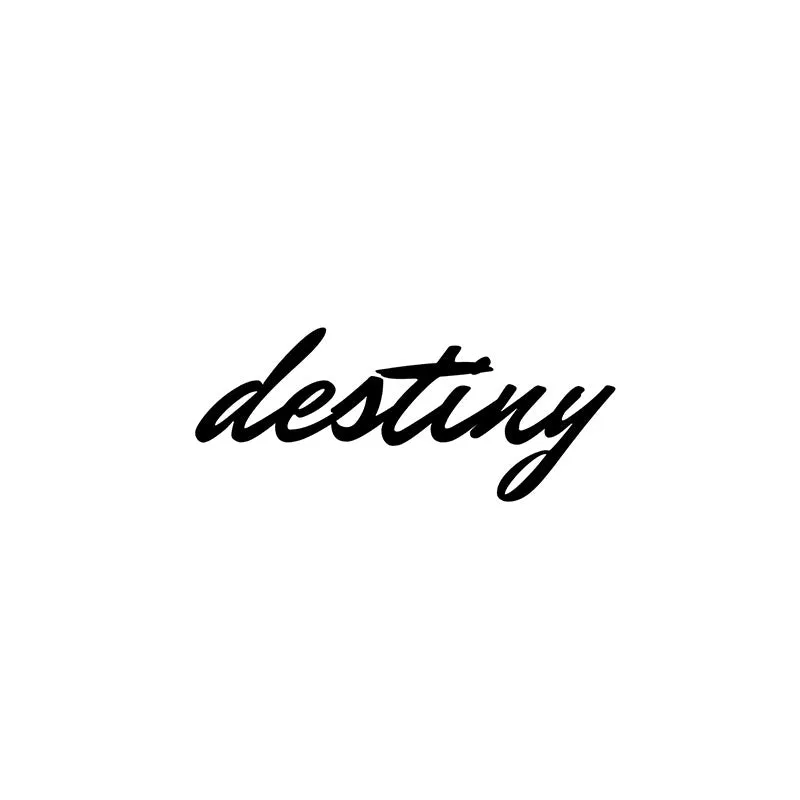 Destiny Iron Wall Accent media 3