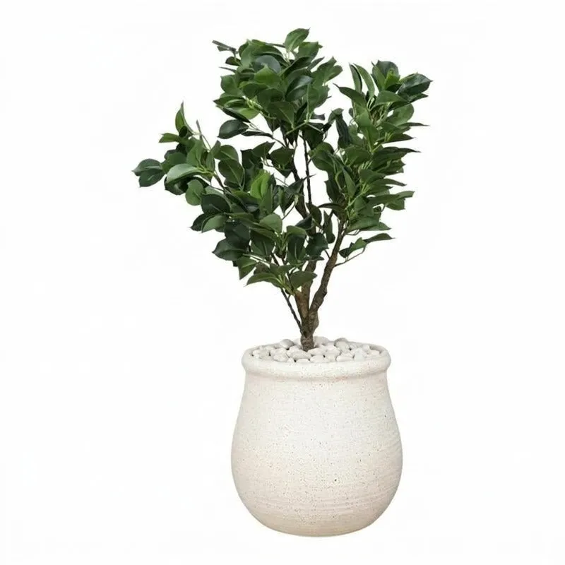Clayra Floor Planter - Off White media 8