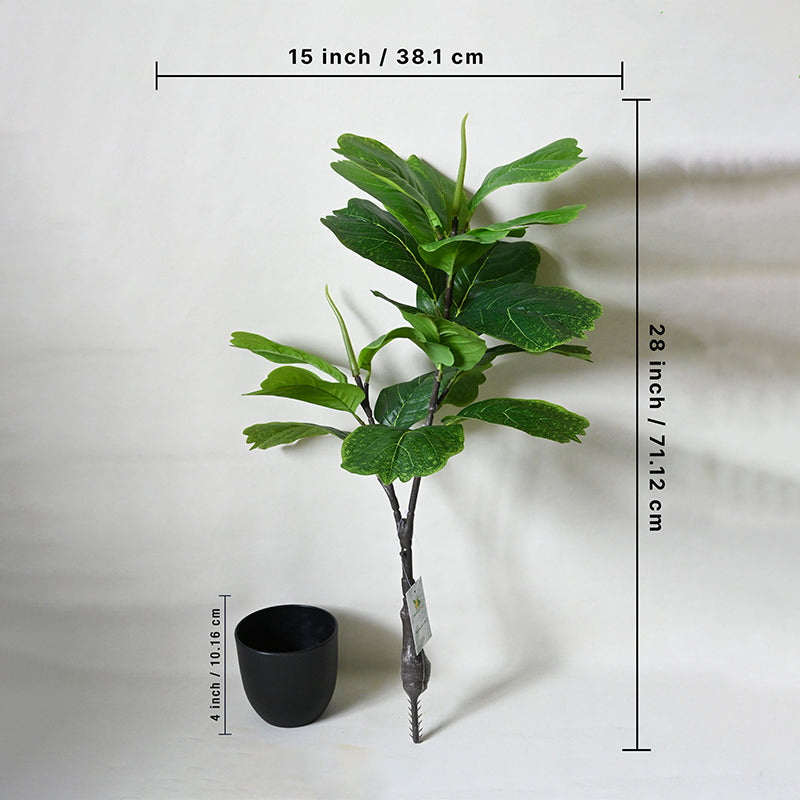 Faux Everlasting Fiddle Fig Plant With Pot - 71 cm (2.3 ft) media 4