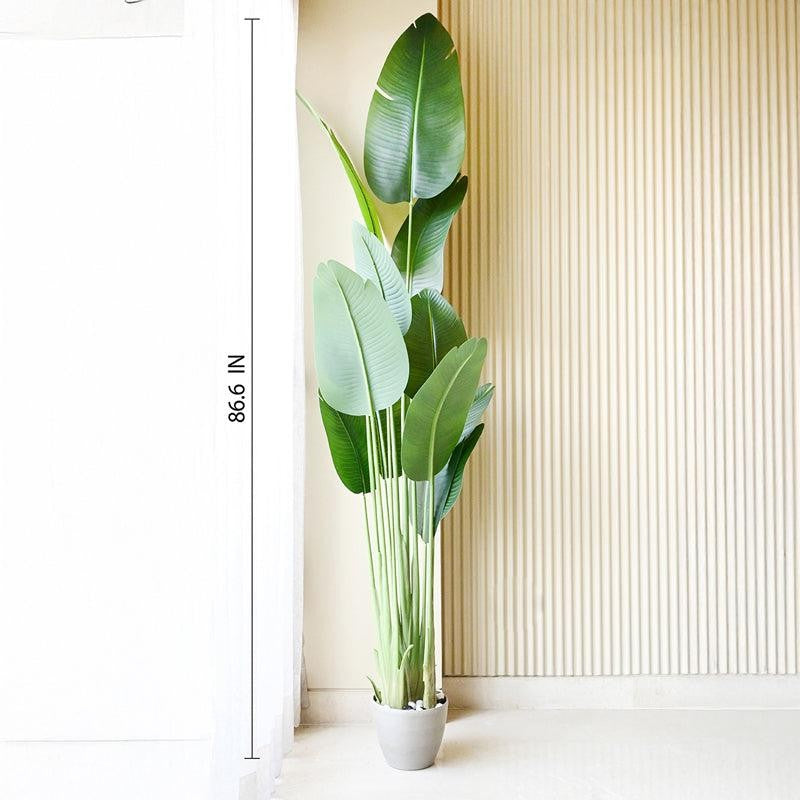 Artificial Banana Tree With Black Plastic Pot - 220 cm (7.2 ft) media 9