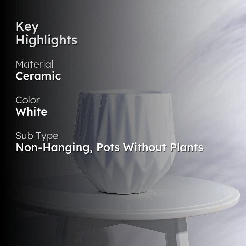 Ugaoo Precious Horcrux White Ceramic Pot media 2