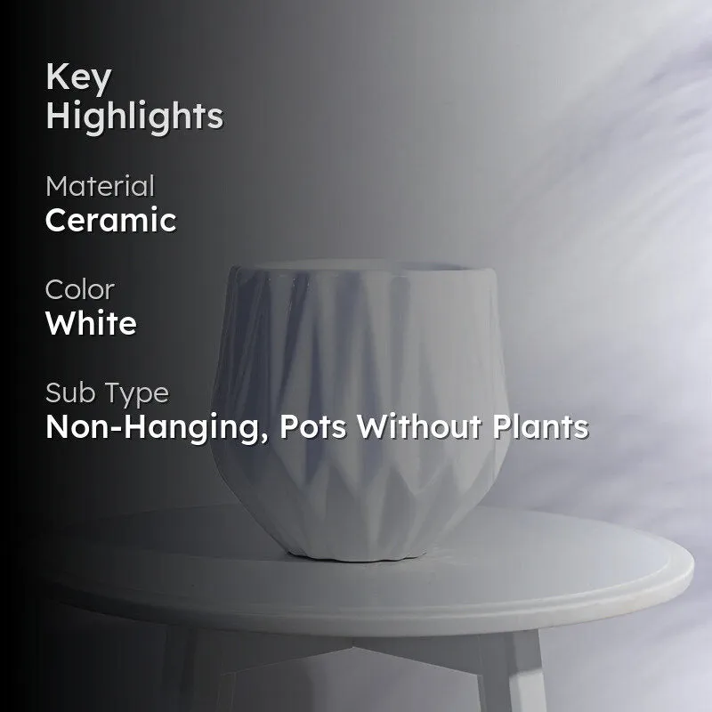 Ugaoo Precious Horcrux White Ceramic Pot media 2