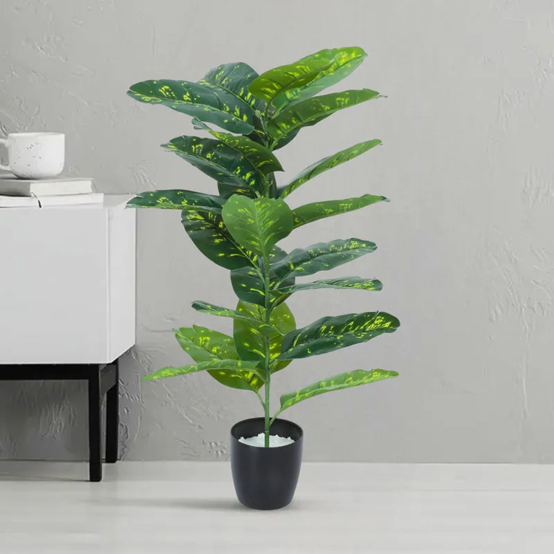 Tropikal Artificial Dieffenbachia Plant With Black Plastic Pot - 2.6 Feet media 3