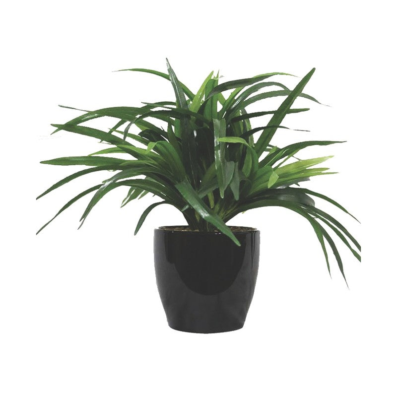Artificial Green Yucca Bush Bonsai Plant With Ceramic Pot - 0.8 Feet media 5
