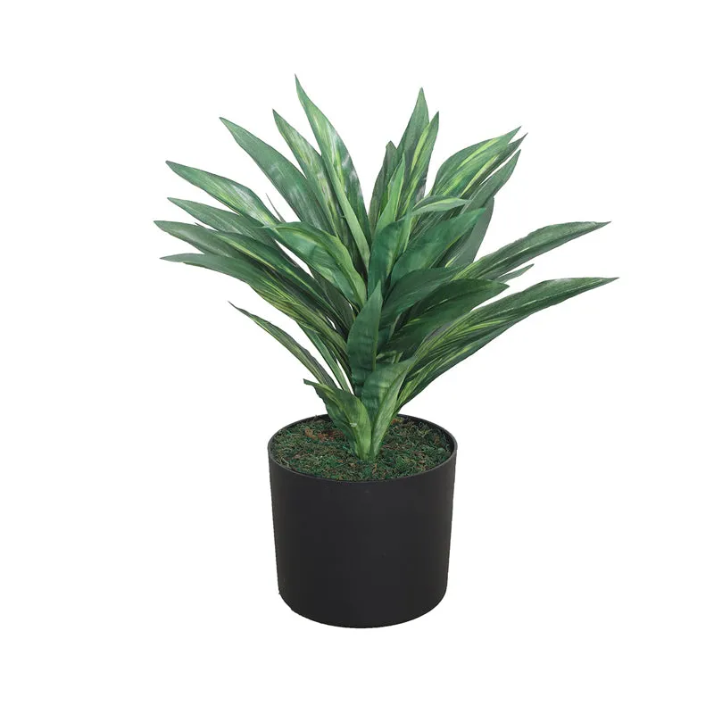 Lush Oasis Artificial Plant With Black Plastic Pot - Green media 3