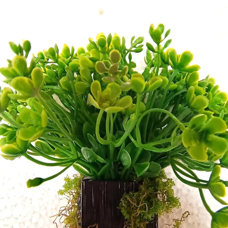 NiraPlant Wall Mount Artificial Plants - 0.8 Feet media 4