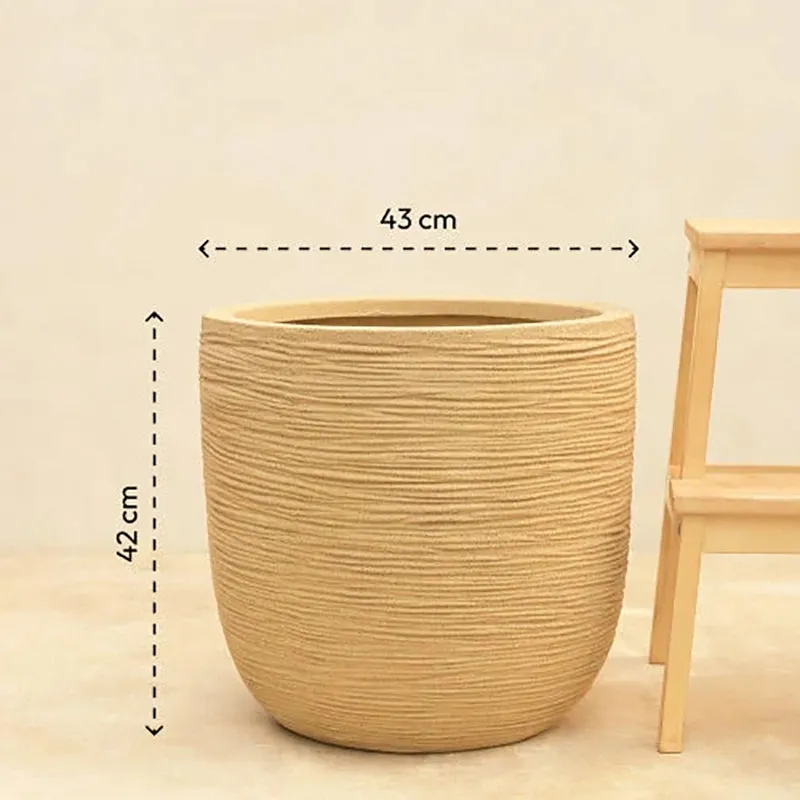 Ugaoo Arcridge Short Plastic Planter - Brown media 5