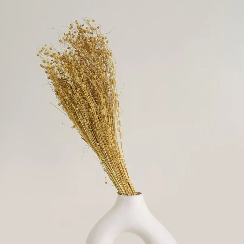 Loopa Millet Grass Dried Lino Bunch - Buff media 1