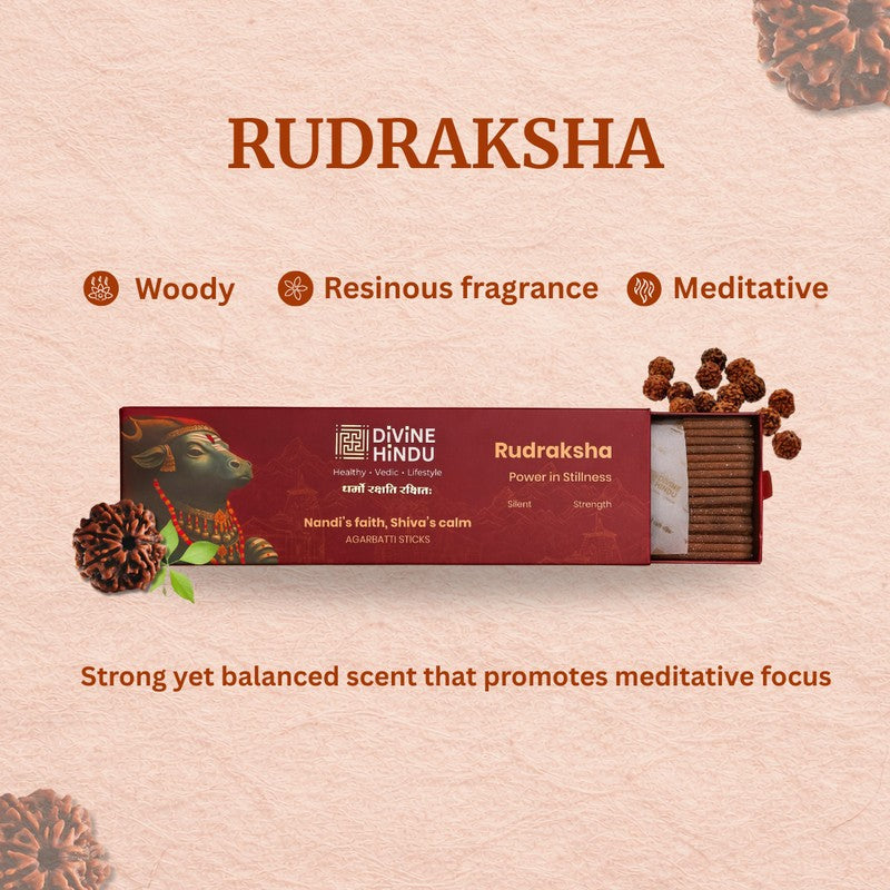 Divine Aura Incense Sticks - 60 Piece Set media 5