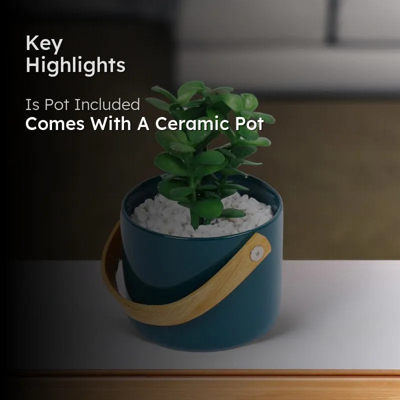 Faux Succulent In Bucket Pot (16.5 cms) - Blue media 2