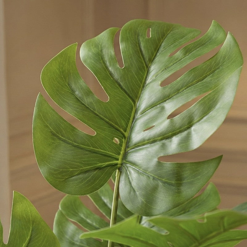 Botaniq Artificial Green Monstera Plant With Black Plastic Pot - 3.4 ft media 4