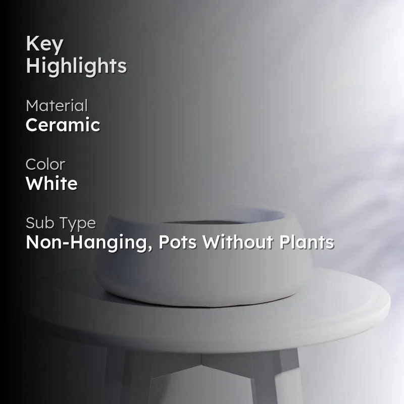 Ugaoo Tulip Fantasy 6032 White Ceramic Pot media 2