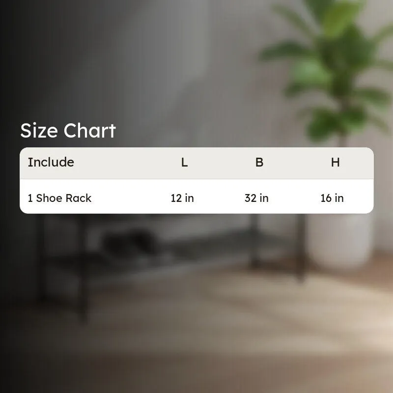 Organized Metal Shoe Rack - Black media 8
