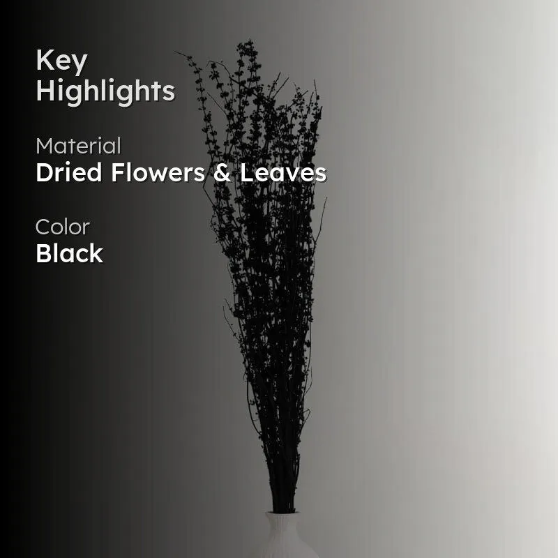Plato Millet Grass Dried Palm Grass Bunch - Black media 2