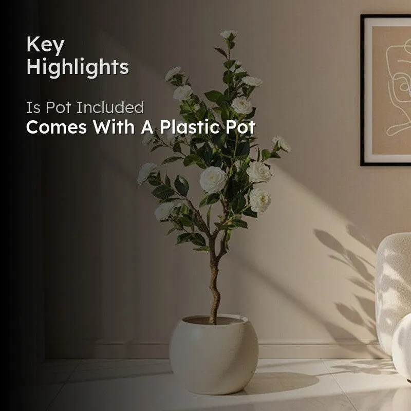 Amara Artificial Camellia Plant With Black Plastic Pot - 4 Feet - 2