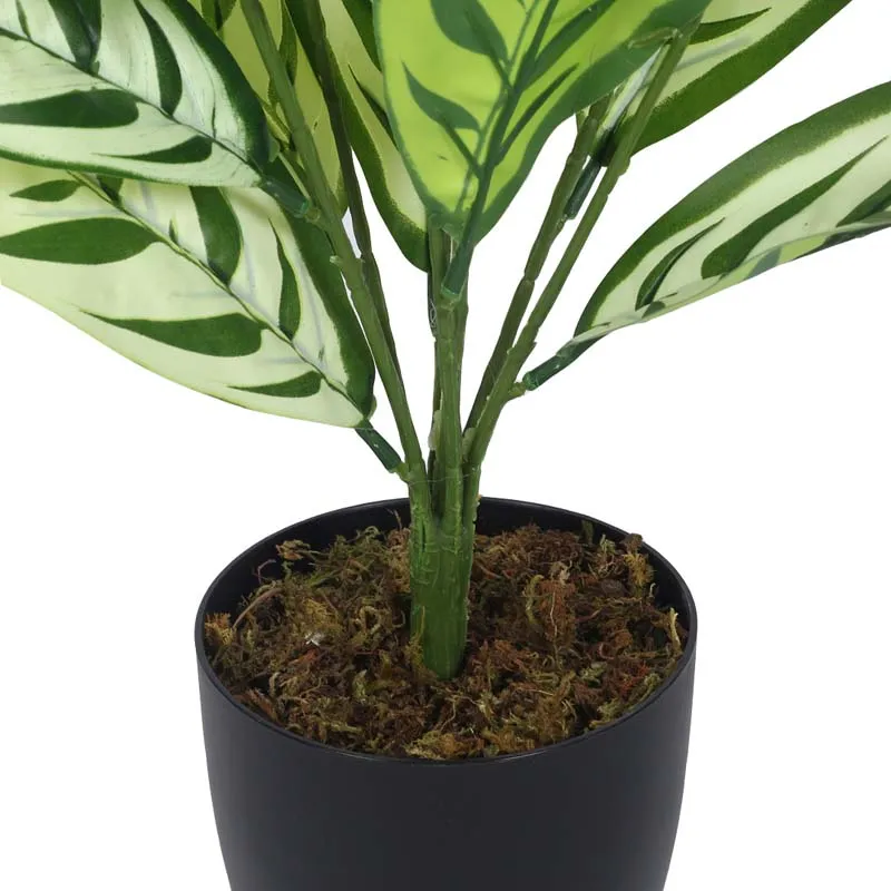 Faux Lush White Dieffenbachia Plant With Black Plastic Pot - 2.3 Feet media 4