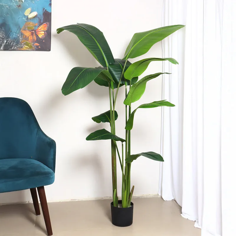 Verdiq Artificial Banana Plant With Black Plastic Pot - 6 Feet media 3