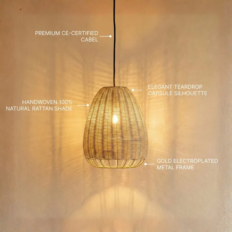 Fig Living Urban Rustica II Ceiling Lamp media 8