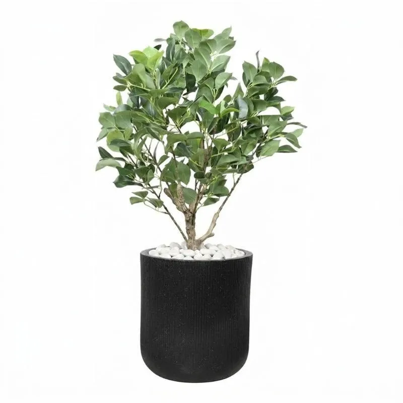 Black ribbed planter with a leafy plant photographed against a white background.