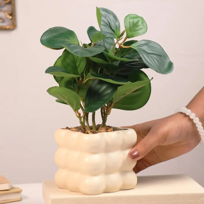 Ivory Bubble Vase with plant media 3