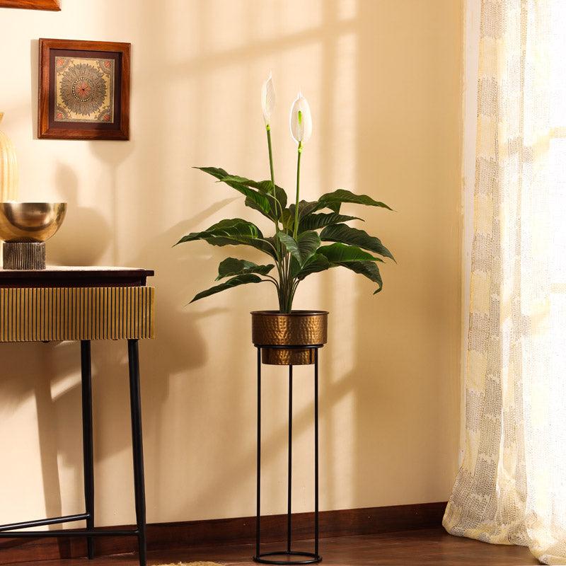 Artificial Realistic Peace Lily Plant With Black Plastic Pot - 2.5 Feet media 5